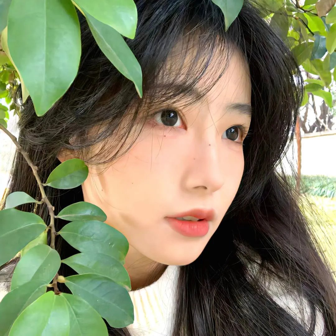 血夜花